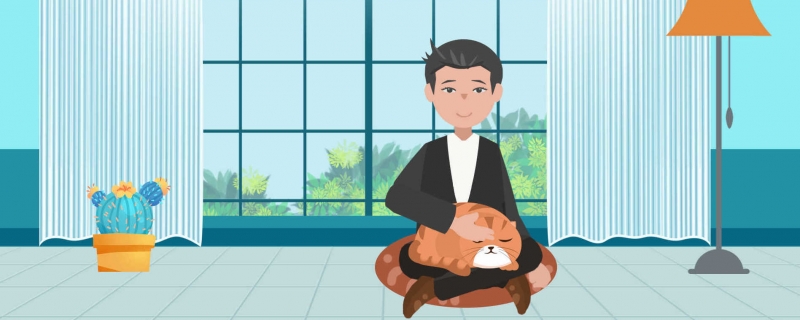 聪明猫猫排行榜 世界上最聪明的猫咪十大排名