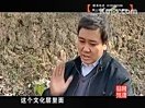 发现临朐-39.魏家庄遗址