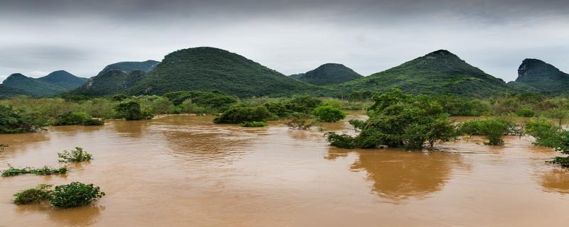 洪水过后为什么有瘟疫 遇到洪水怎么办