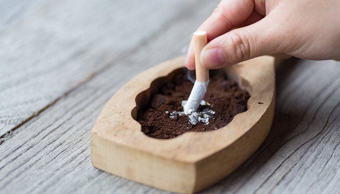 茶烟到底对身体有害吗