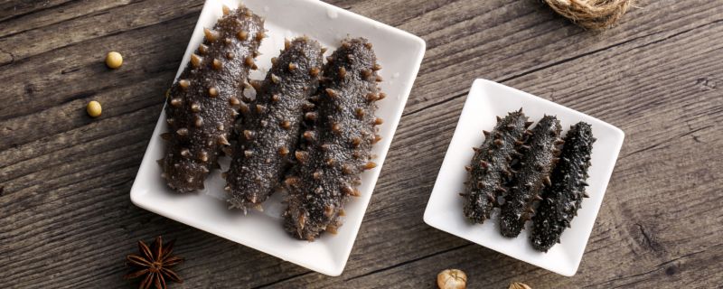 干海参不泡发可以吃吗