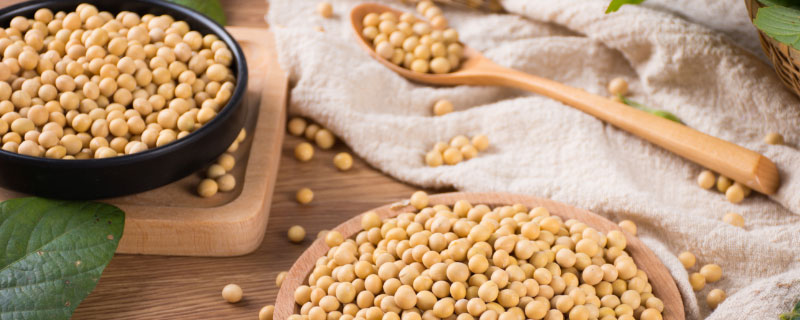 泡豆子为什么要放碱 泡豆子用冷水泡还是热水泡